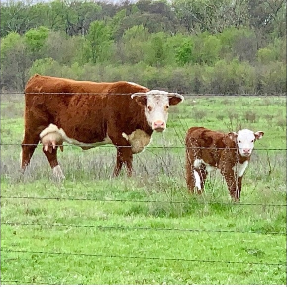 Be nice - Picture 9 of 12